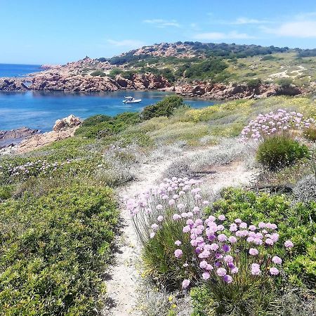 B&B La Tasgia Aggius ภายนอก รูปภาพ