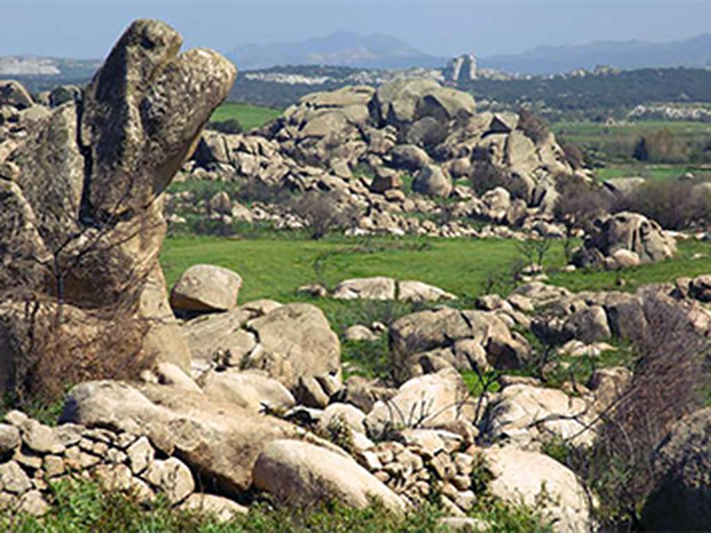 B&B La Tasgia Aggius ภายนอก รูปภาพ