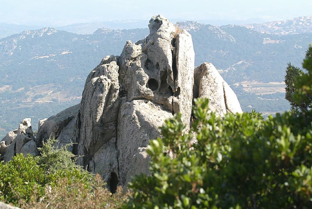B&B La Tasgia Aggius ภายนอก รูปภาพ