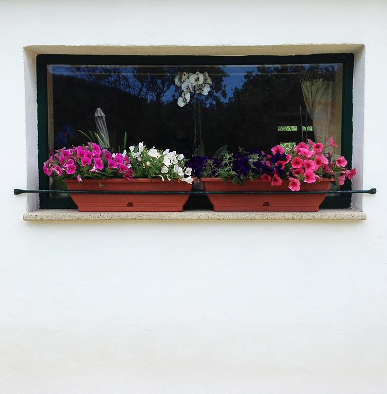 B&B La Tasgia Aggius ภายนอก รูปภาพ