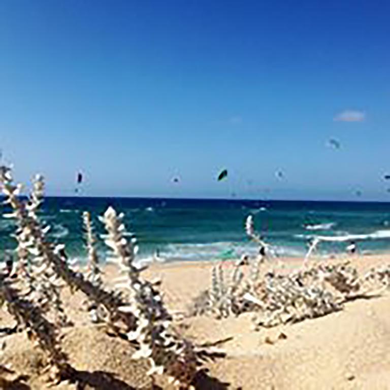B&B La Tasgia Aggius ภายนอก รูปภาพ