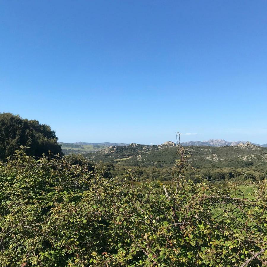 B&B La Tasgia Aggius ภายนอก รูปภาพ