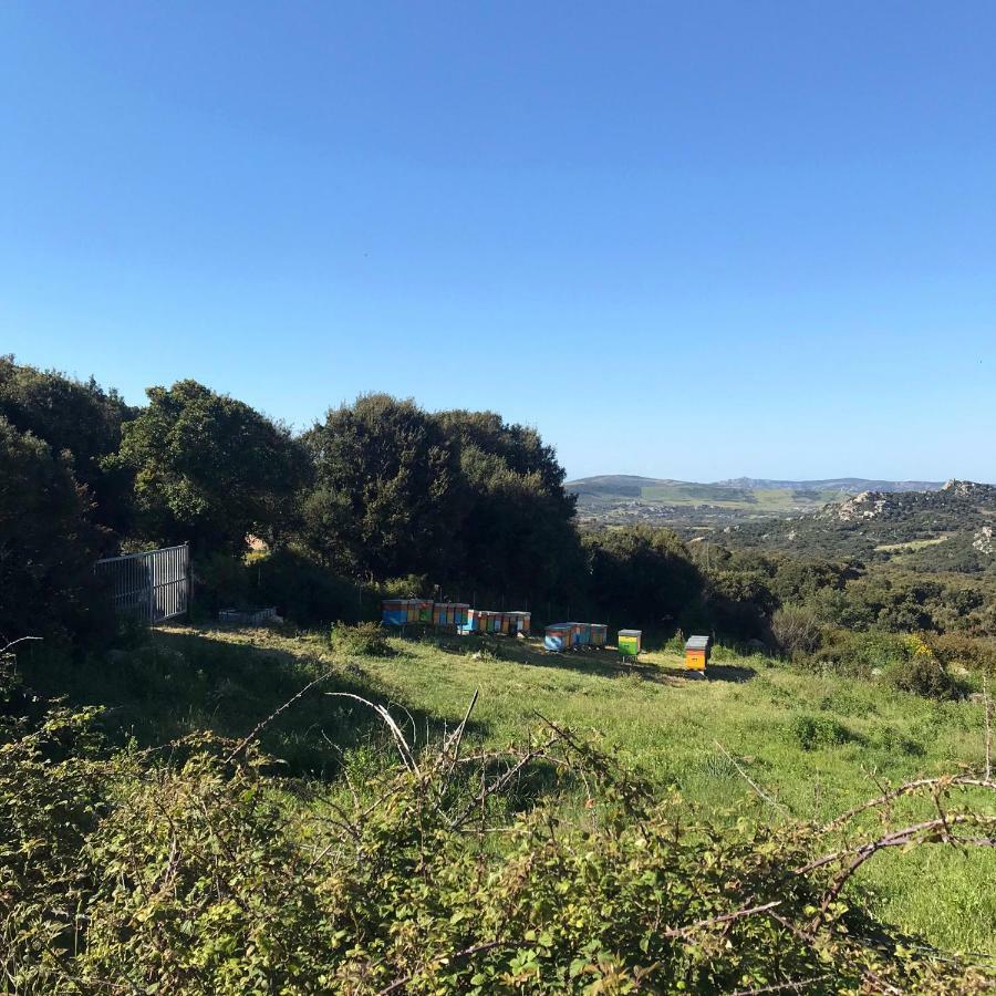 B&B La Tasgia Aggius ภายนอก รูปภาพ