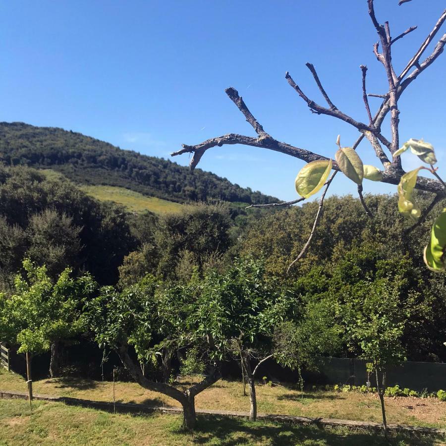 B&B La Tasgia Aggius ภายนอก รูปภาพ