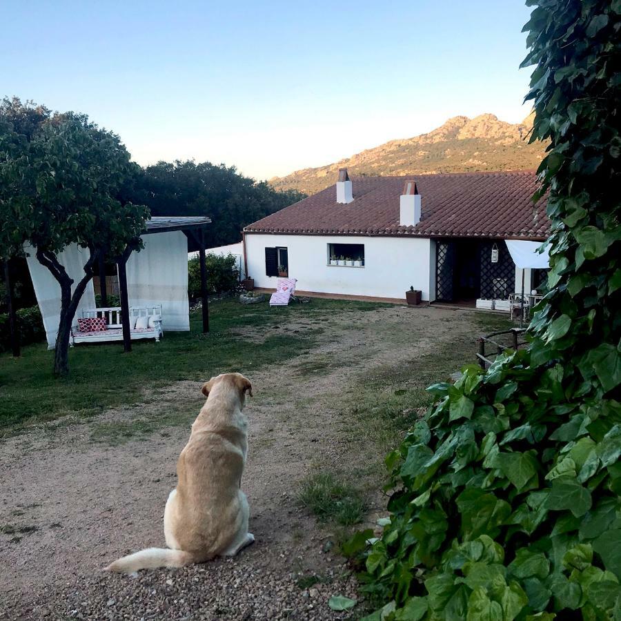 B&B La Tasgia Aggius ภายนอก รูปภาพ