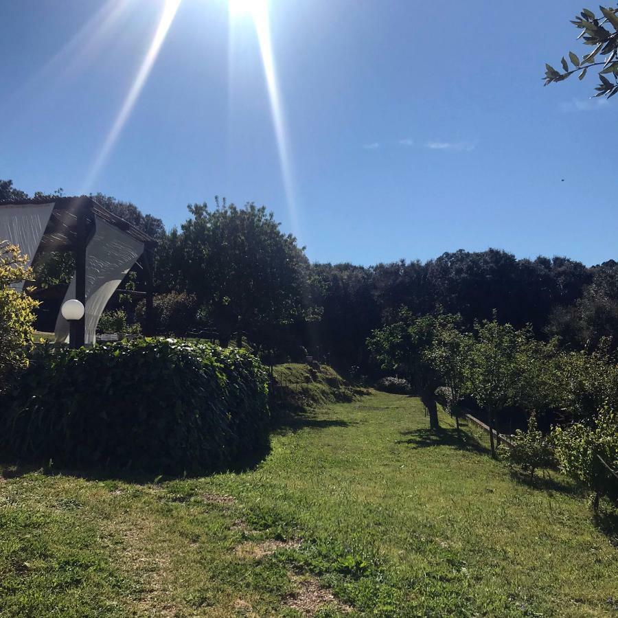 B&B La Tasgia Aggius ภายนอก รูปภาพ