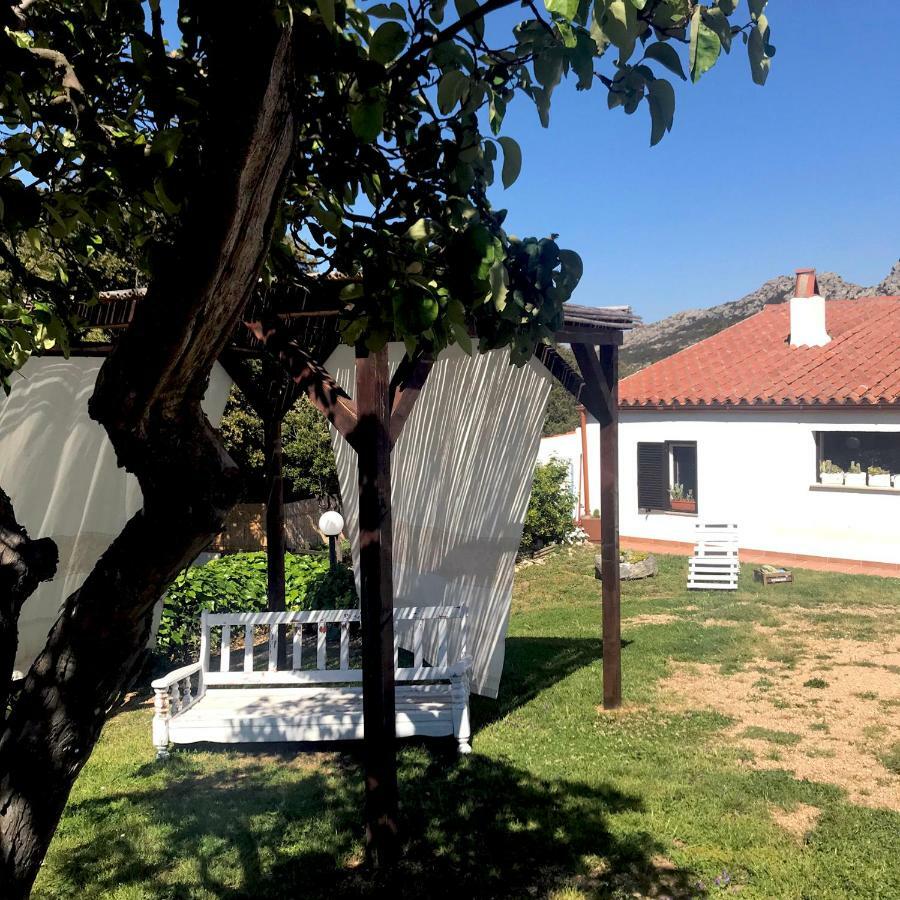 B&B La Tasgia Aggius ภายนอก รูปภาพ